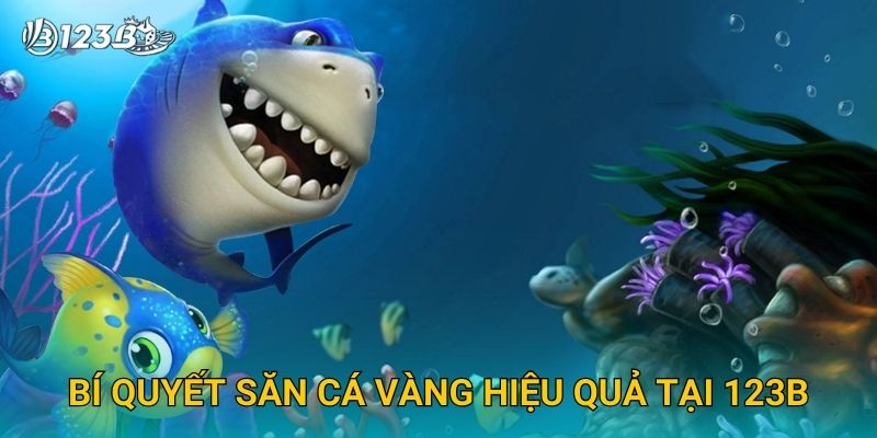 Golden Fish Hunter 123B – Săn Cá Vàng Đổi Thưởng Đỉnh Cao 2025 3 Bí quyết săn cá vàng hiệu quả tại 123B