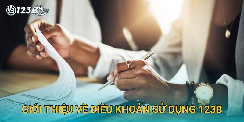 Giới thiệu về điều khoản sử dụng 123B