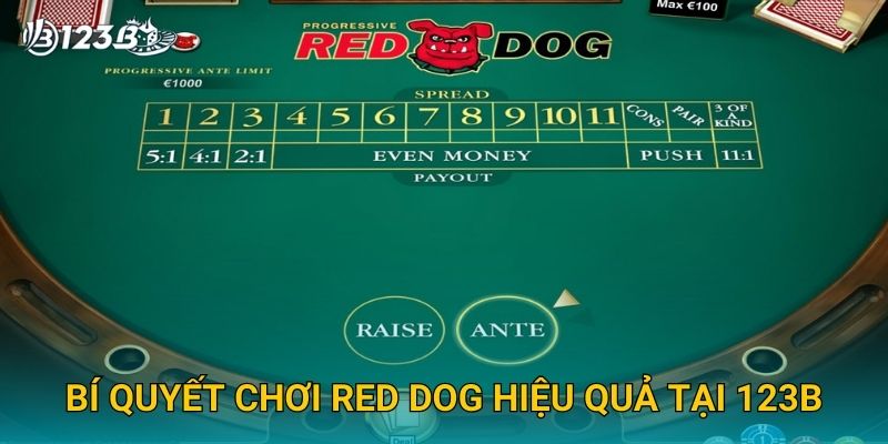 Bí quyết chơi Red Dog hiệu quả tại 123B
